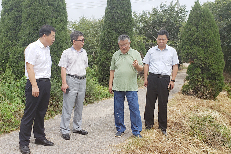 奥马资料今晚开什么