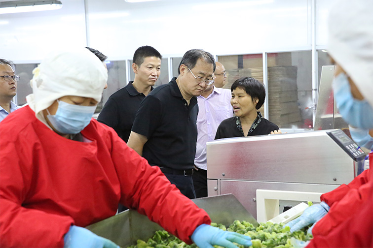 奥马资料今晚开什么