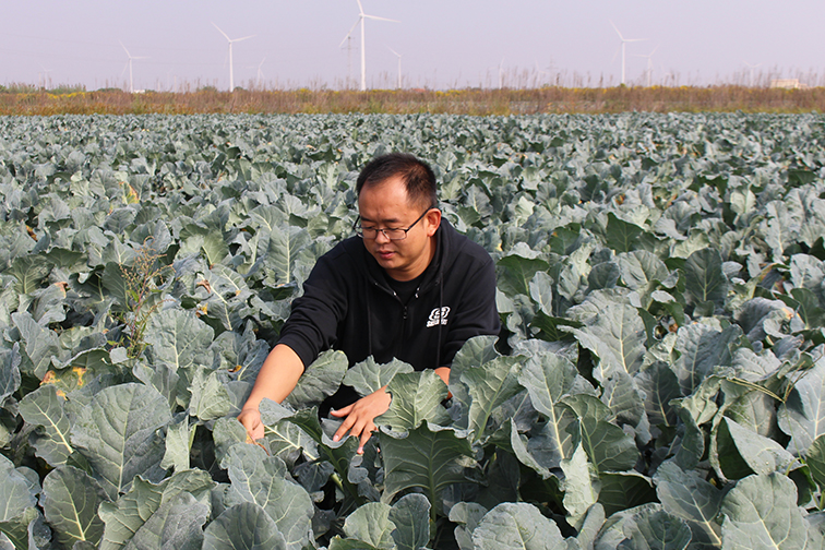 奥马资料今晚开什么