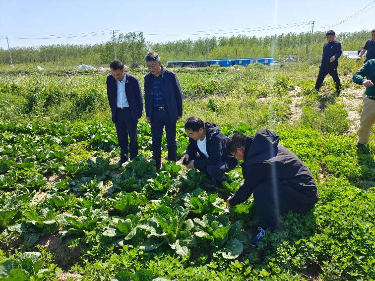 奥马资料今晚开什么