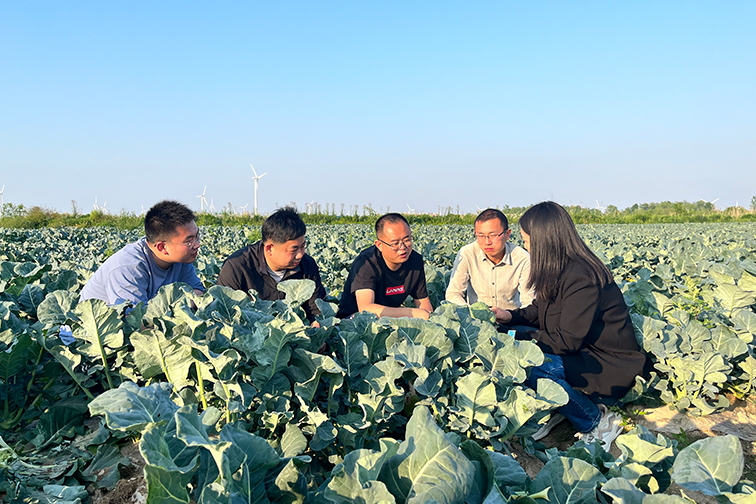 奥马资料今晚开什么