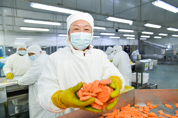 奥马资料今晚开什么