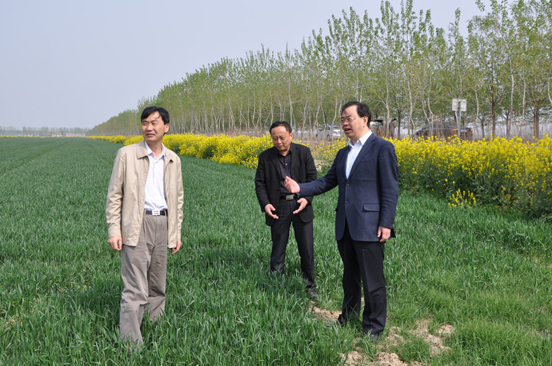 奥马资料今晚开什么