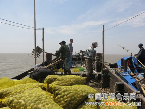 奥马资料今晚开什么