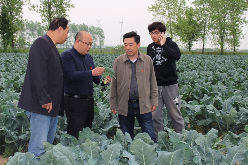 奥马资料今晚开什么