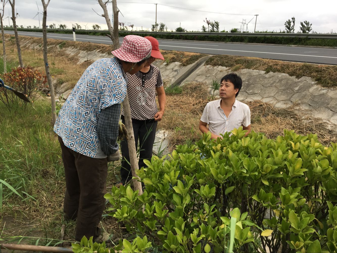 奥马资料今晚开什么